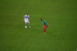 Ming巅峰对决，莱万多夫斯基与40激战MAD分钟，逆转胜负难料！